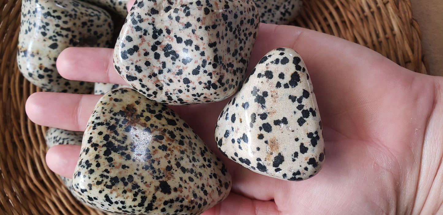 Dalmatian Jasper Jumbo Tumbled Stone