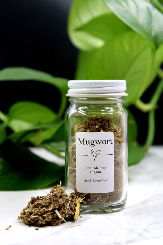 Organic Mugwort (Baking, Tea, Smoking, Pillow Scent)