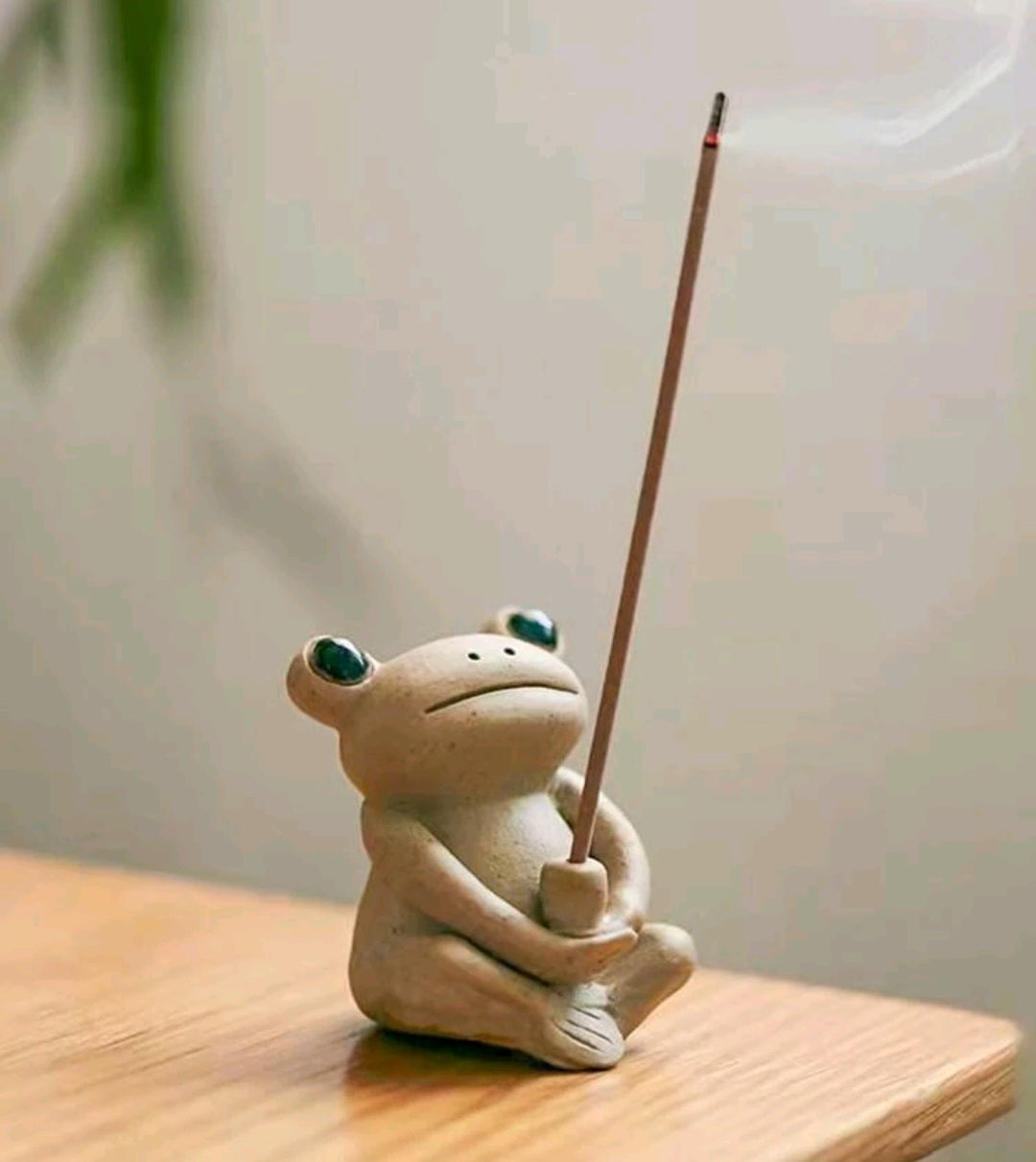 Cute Frog Incense Holder