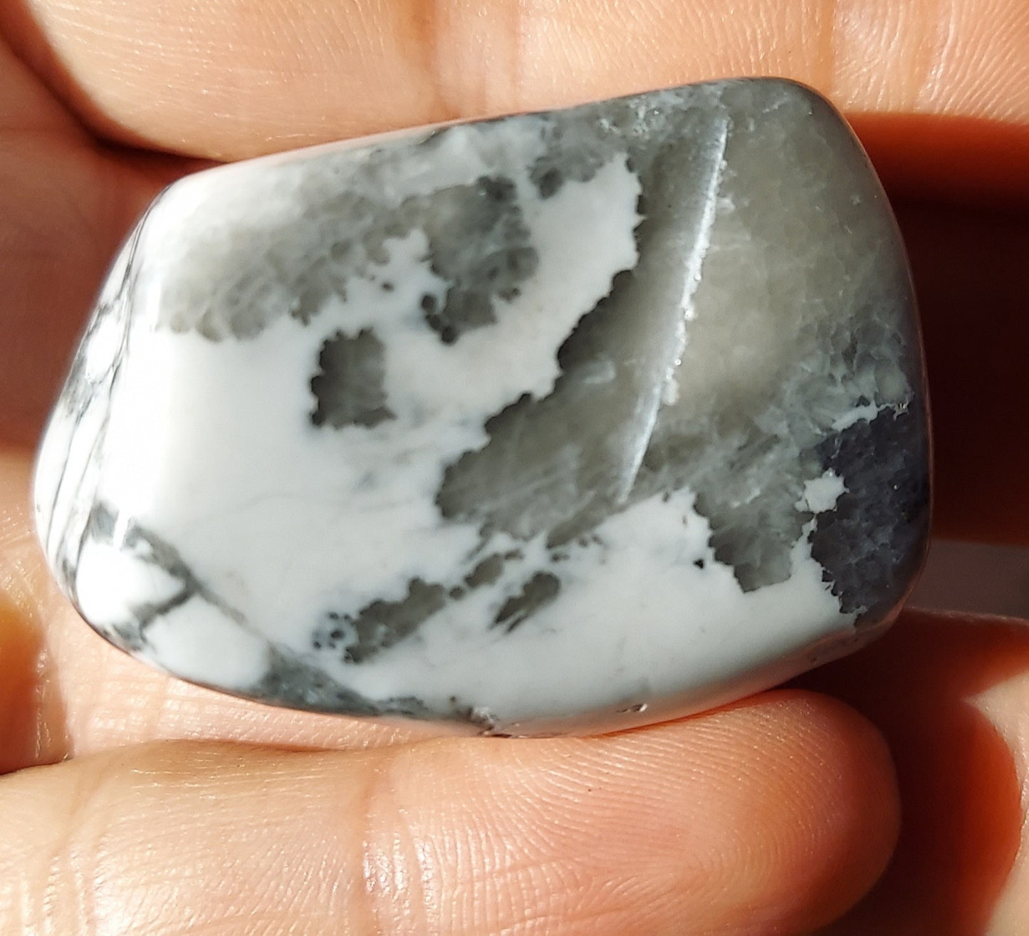 Howlite Tumbled Stone