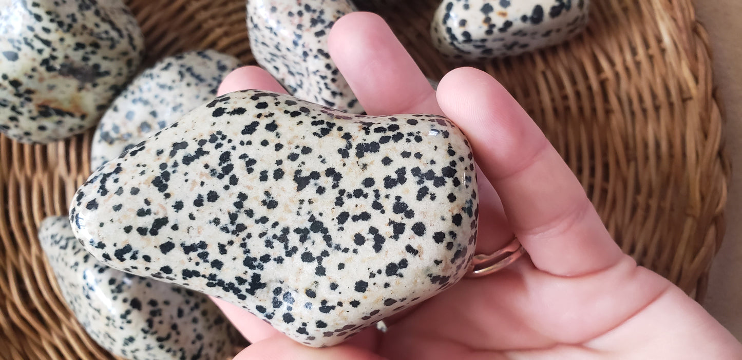 Dalmatian Jasper Jumbo Tumbled Stone