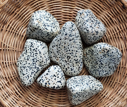 Dalmatian Jasper Jumbo Tumbled Stone