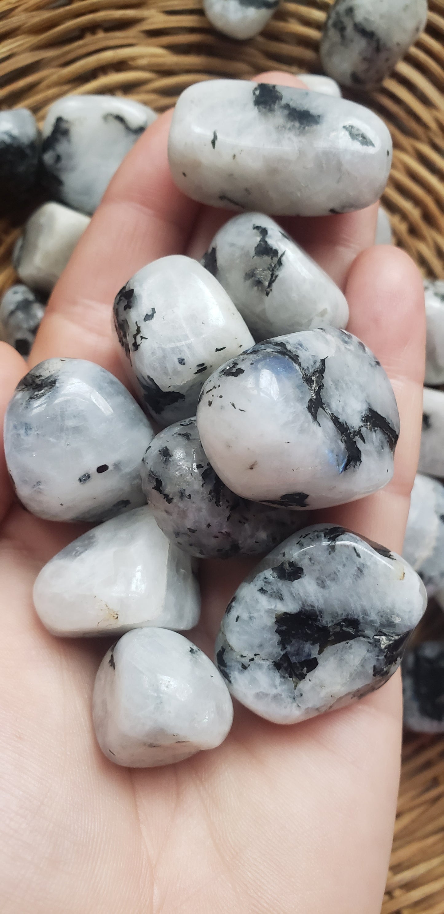 Rainbow Moonstone Tumbled