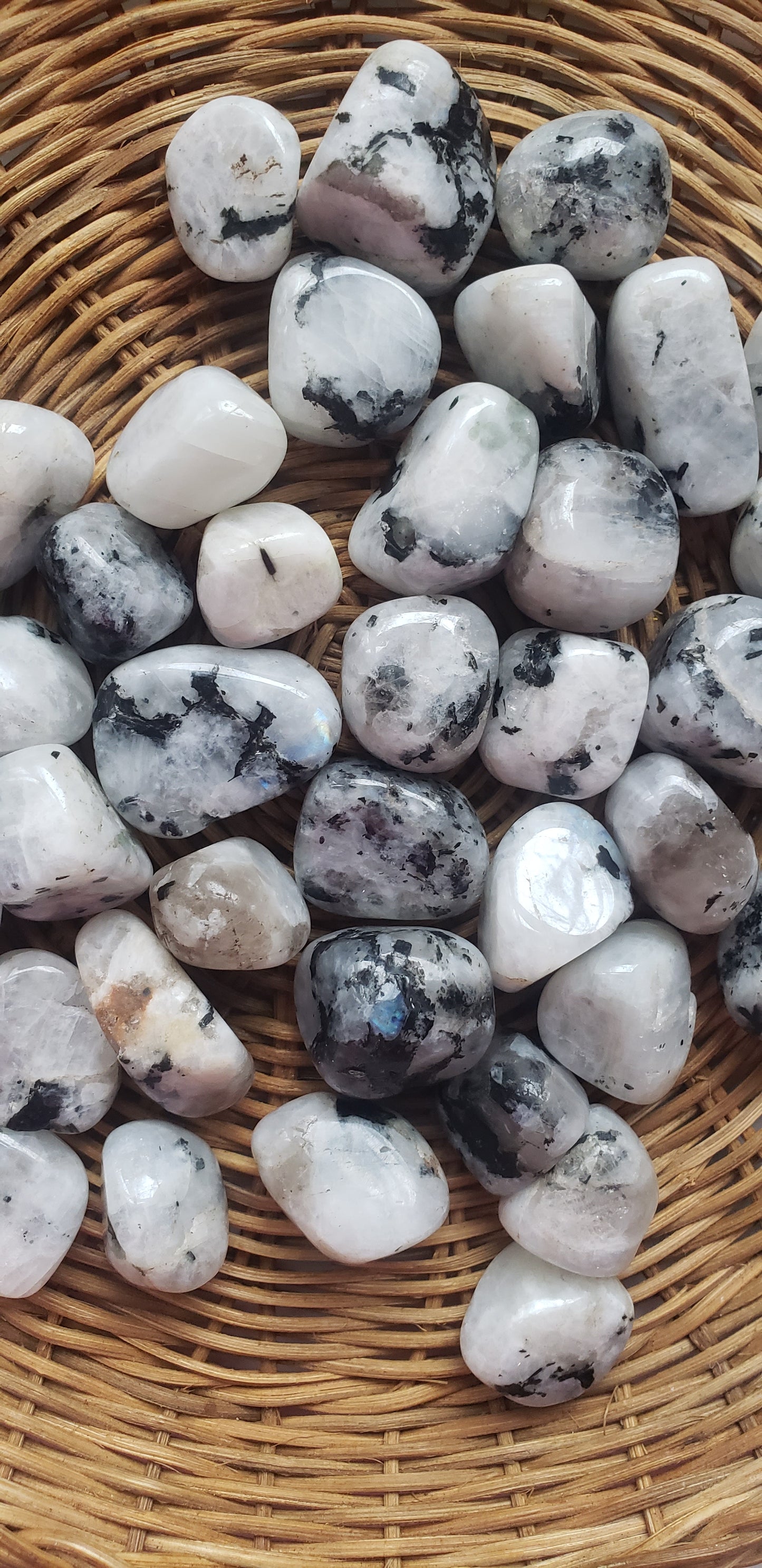 Rainbow Moonstone Tumbled